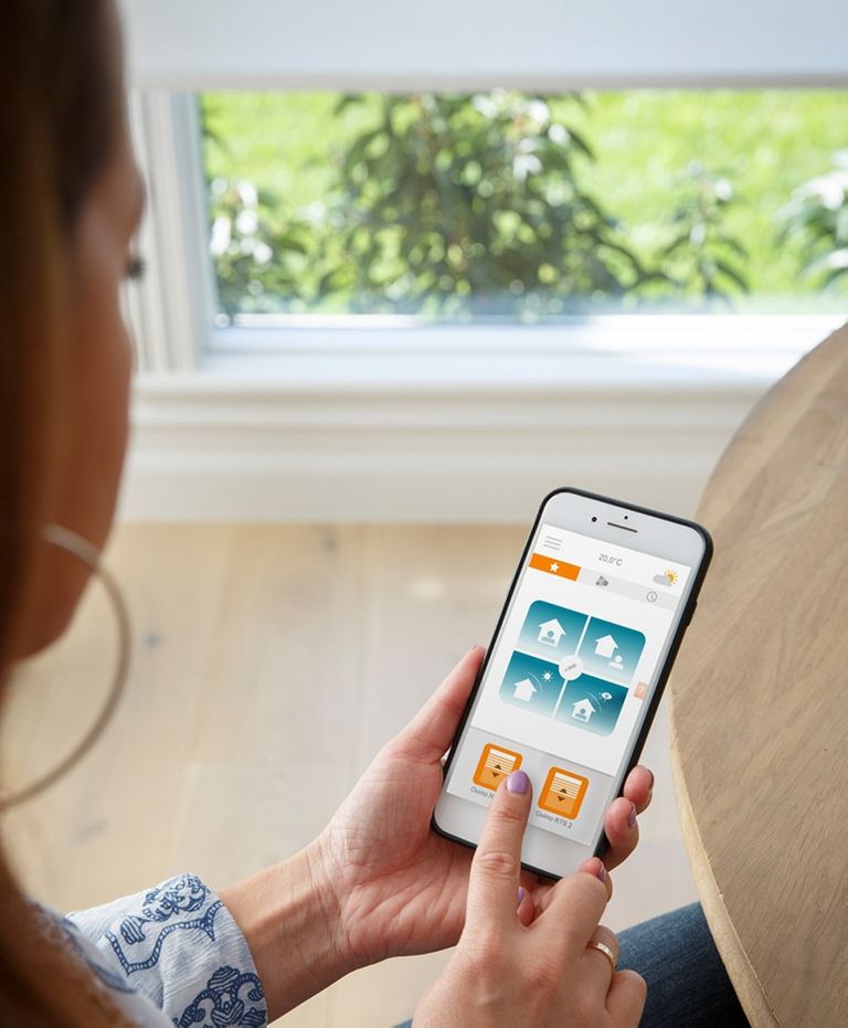 Little Willow Julia App